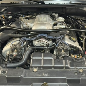 1997 Mustang Cobra SVT - Image 2