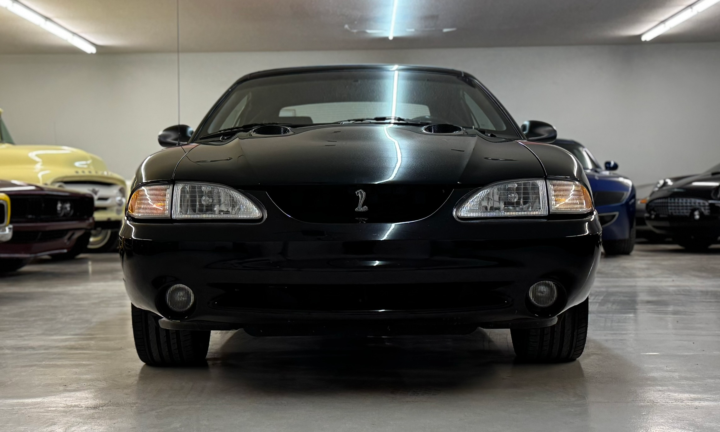 1997 Mustang Cobra SVT