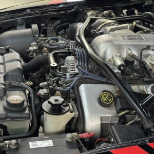1997 Mustang Cobra SVT - Image 3
