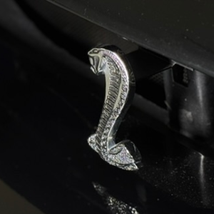 1997 Mustang Cobra SVT - Image 71