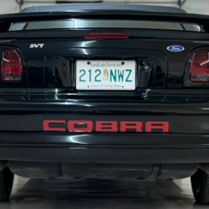 1997 Mustang Cobra SVT - Image 16