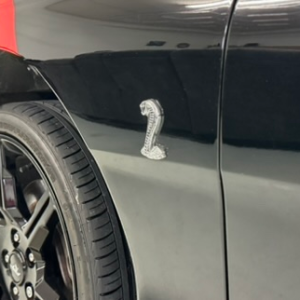 1997 Mustang Cobra SVT - Image 24