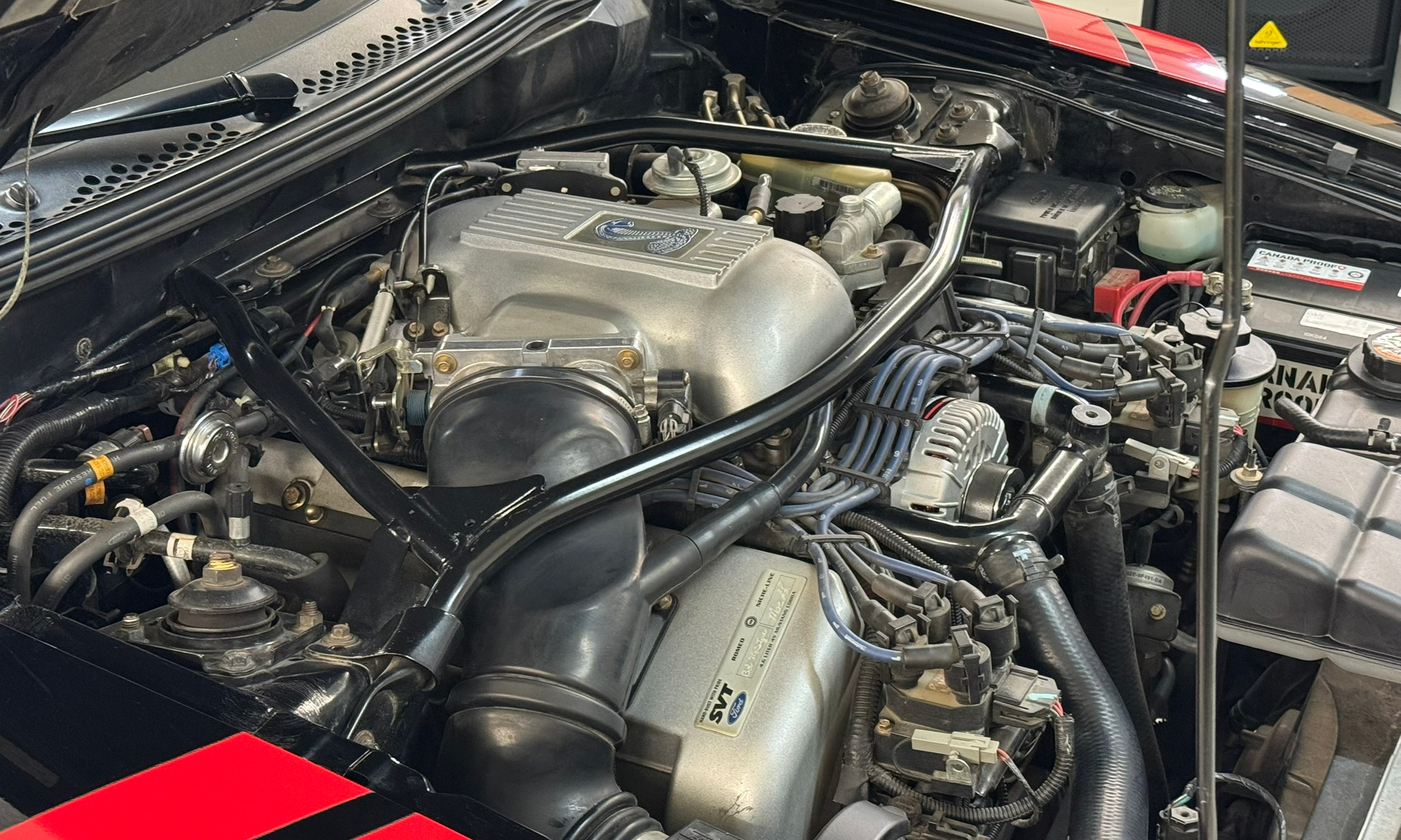 1997 Mustang Cobra SVT