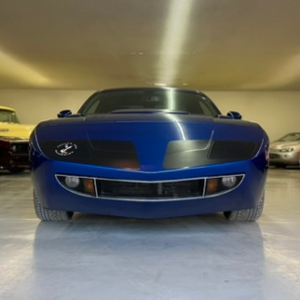 2012 Richard Petty Superbird - Image 3